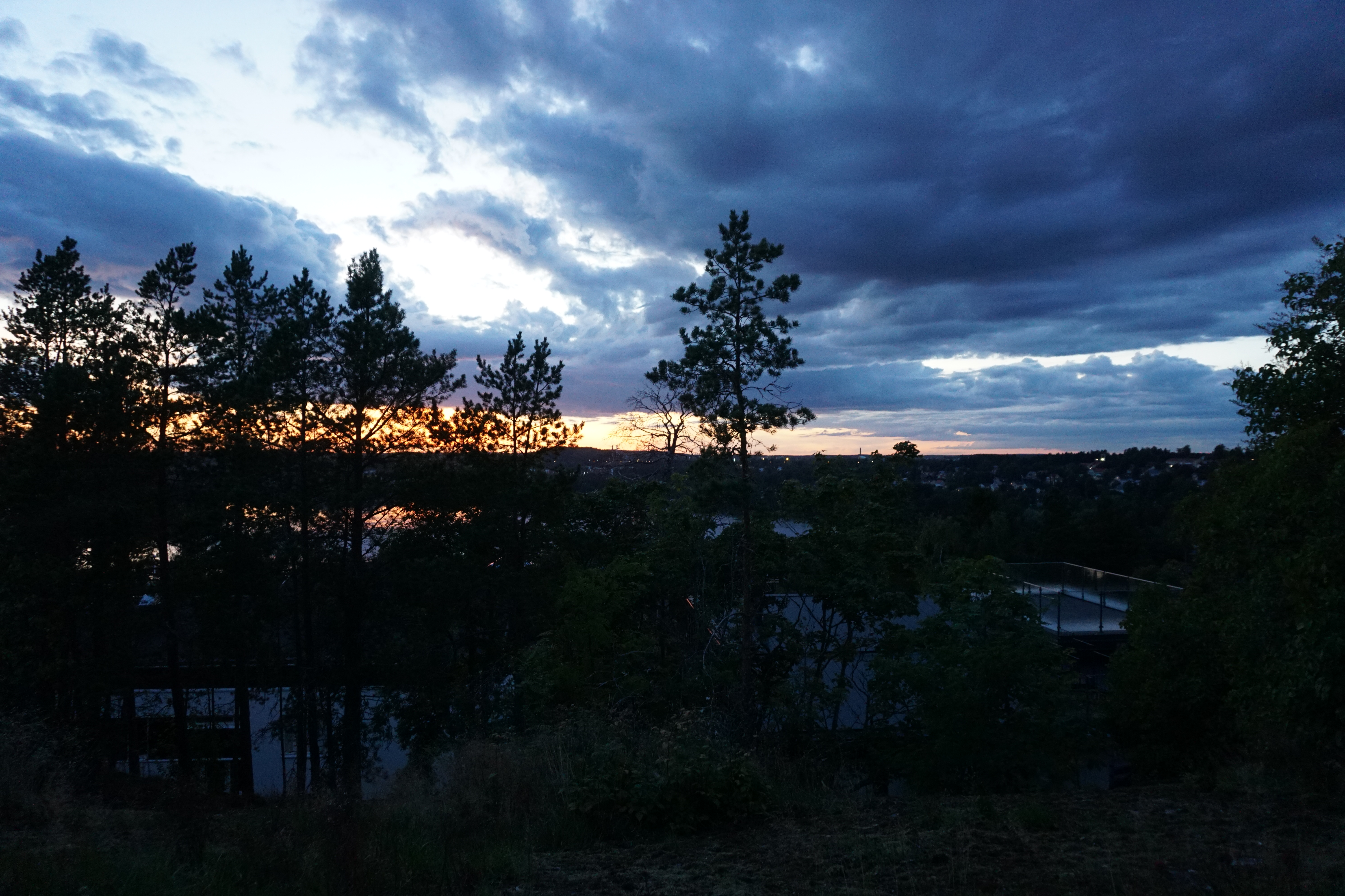 Sony A6000